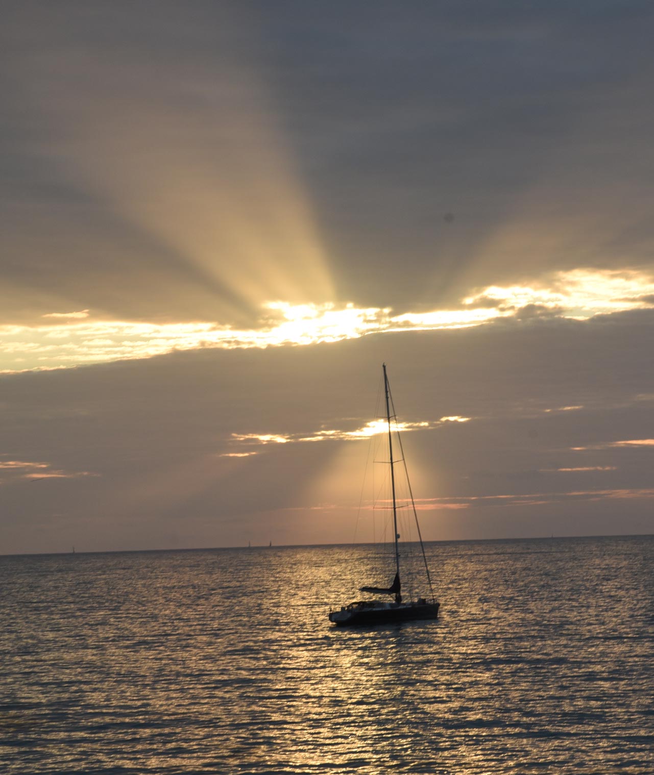 boat in sunset